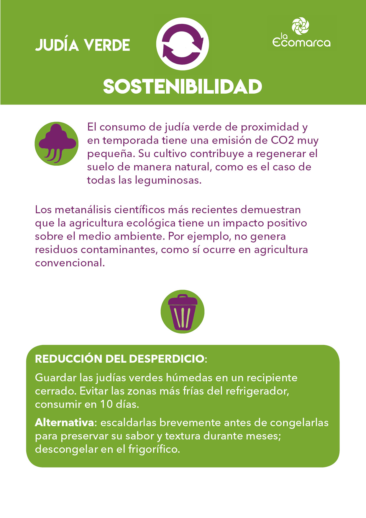 JUDÍA VERDE4