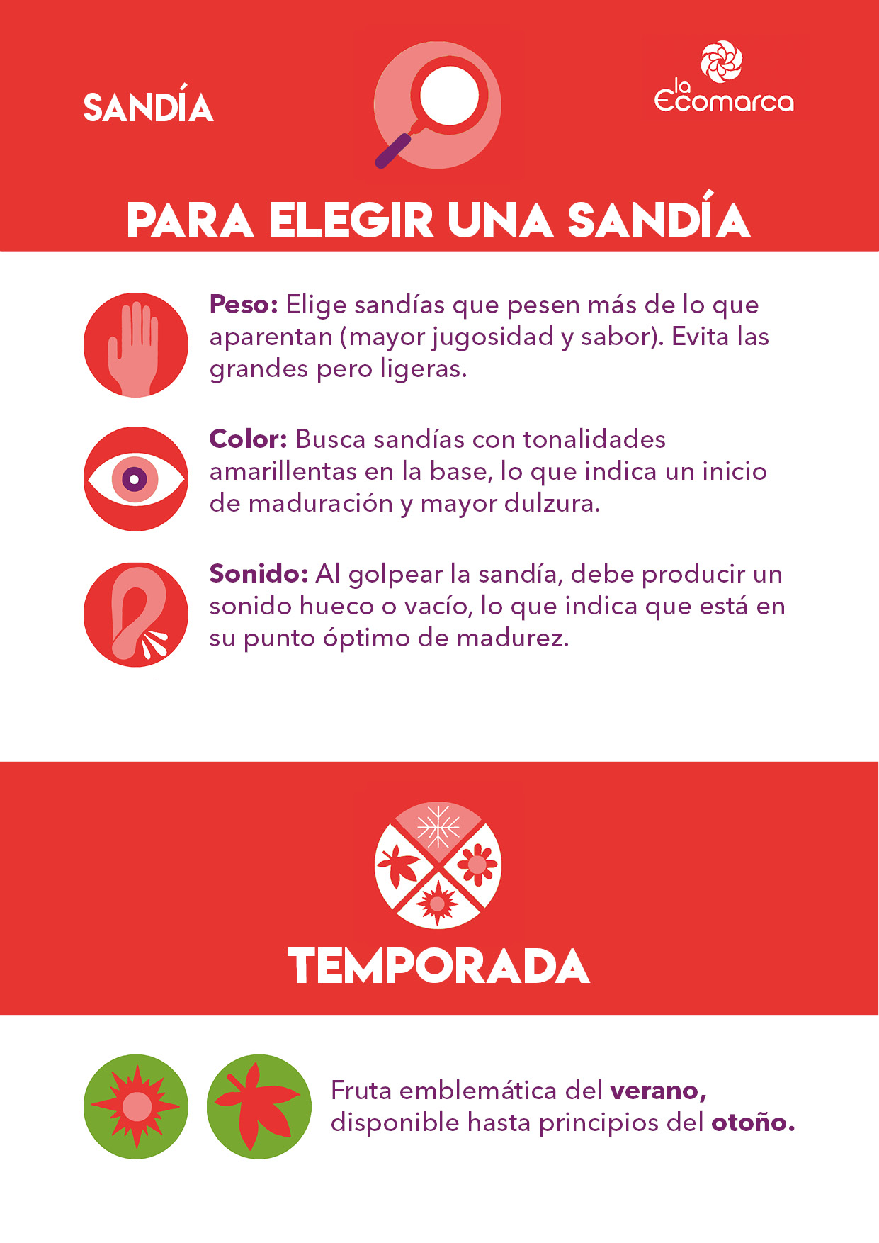 SANDÍA4