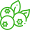 about icon1.png